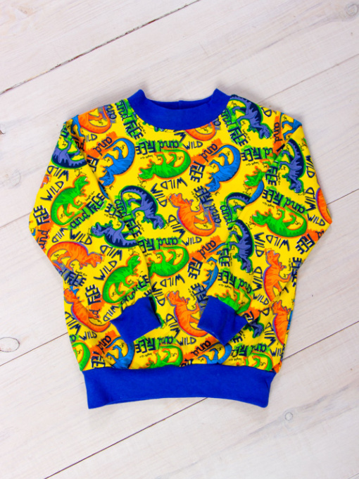 Свитшот Носи своє модель 6069-055-4-dno-burshtin Фото