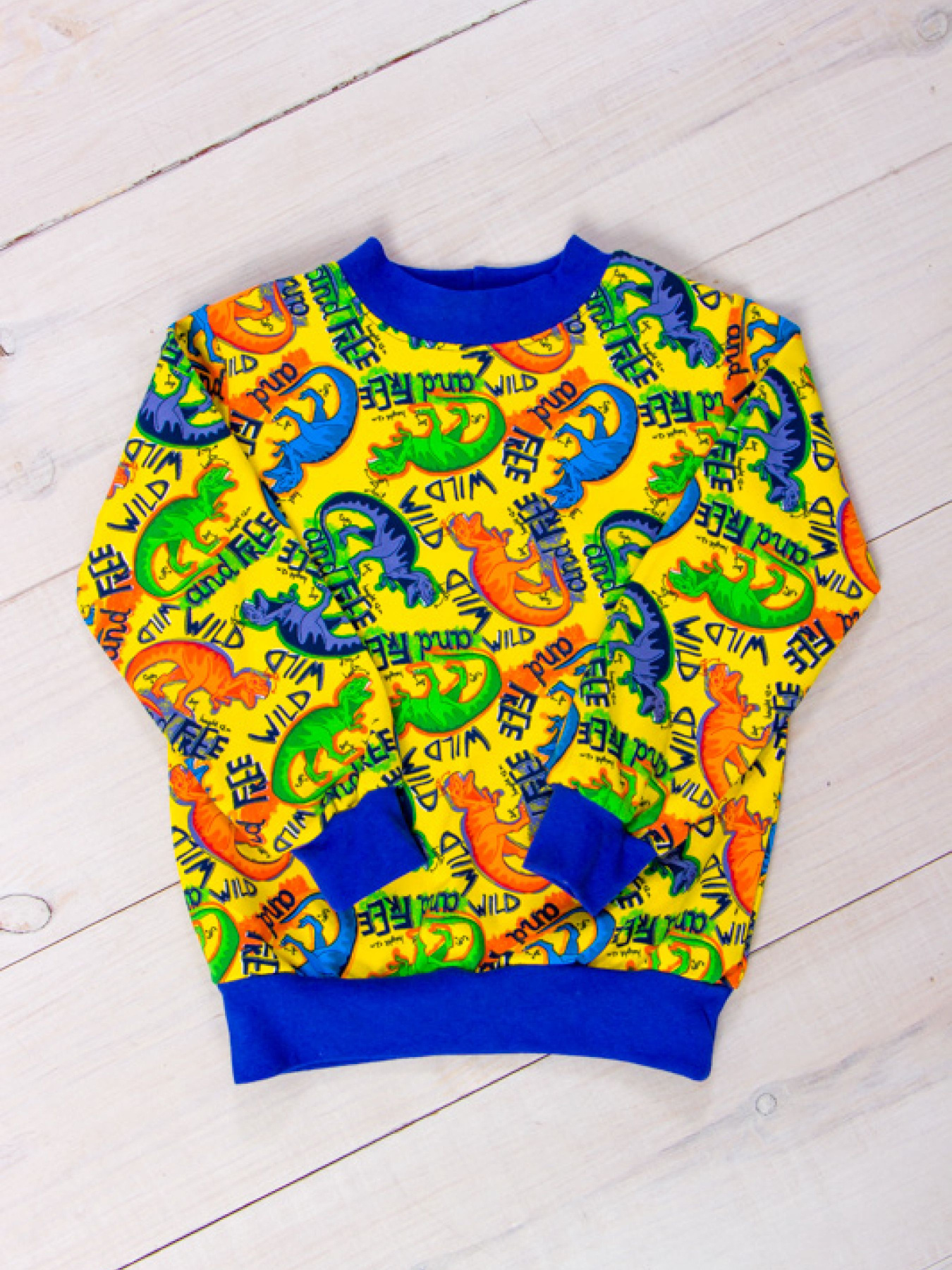 Світшот Носи своє модель 6069-055-4-dno-burshtin Фото