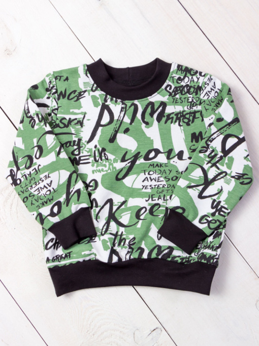 Світшот Носи своє модель 6069-055-4-nadpisi-fstashkovij Фото