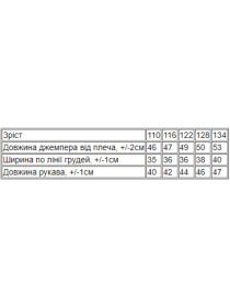 Світшот Носи своє модель 6069-055-4-nadpisi-fstashkovij Фото