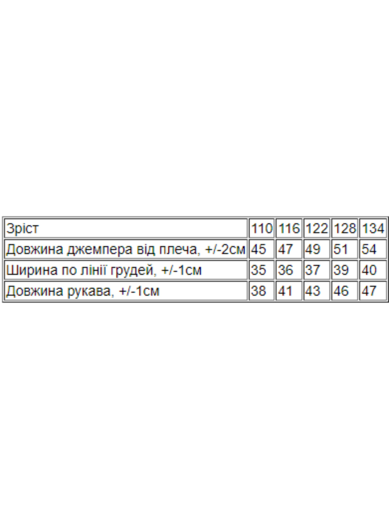 Свитшот Носи своє модель 6069-6-dno Фото