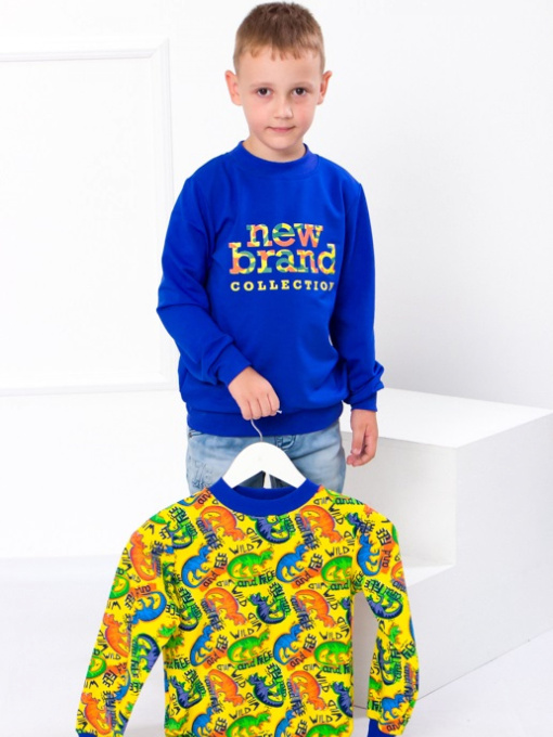 Світшот Носи своє модель 6069-6-dno Фото