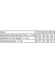 Свитшот Носи своє модель 6069-6-dno Свитшот Носи своє модель 6069-6-dno Фото