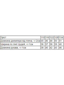 Свитшот Носи своє модель 6069-7-lisichka Фото