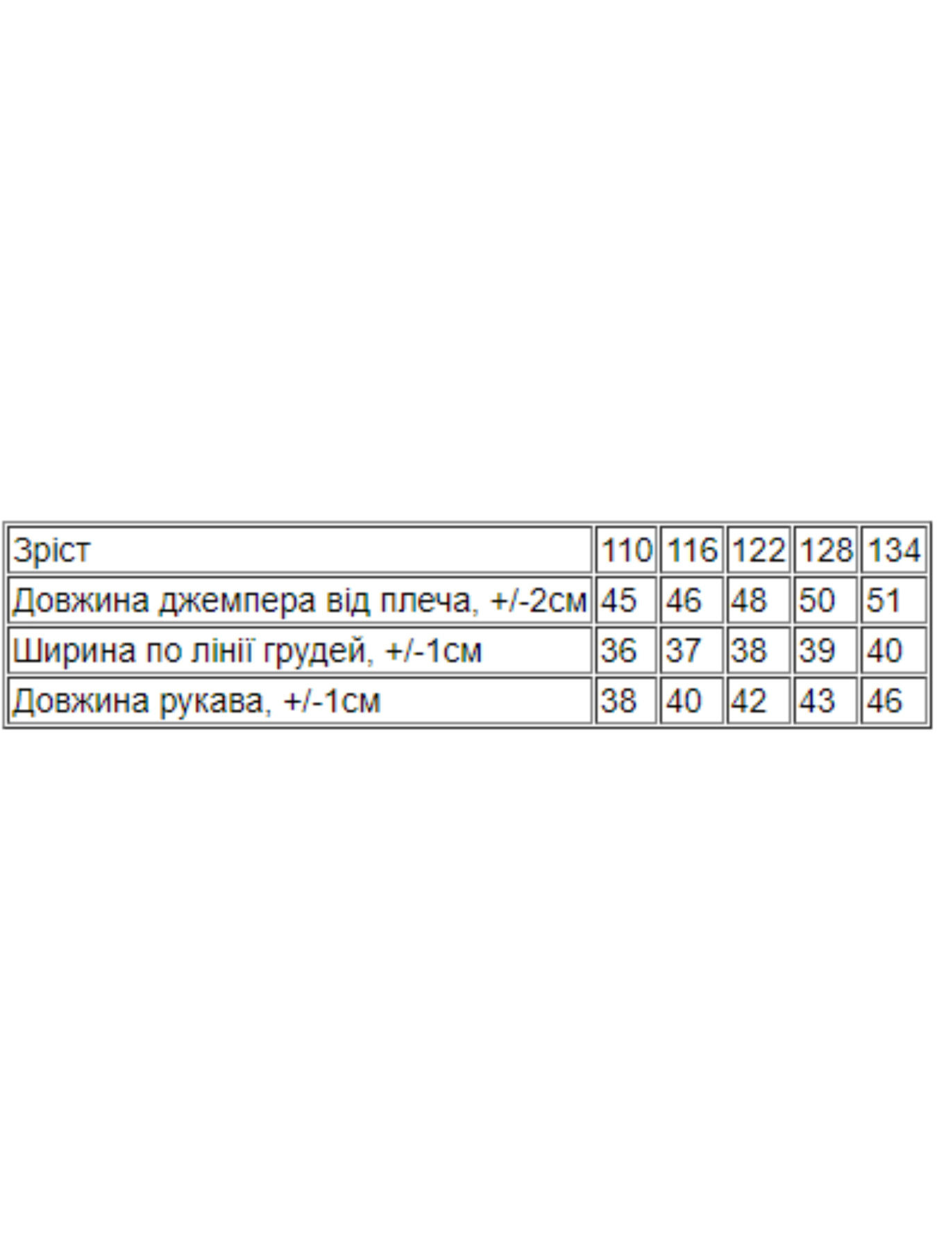 Свитшот Носи своє модель 6069-7-lisichka Фото