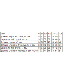 Спортивный костюм Носи своє модель 6083-027-22-4-sinj Фото