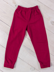 Штаны спортивные Носи своє модель 6155-023-5-vishnevij Штаны спортивные Носи своє модель 6155-023-5-vishnevij Фото