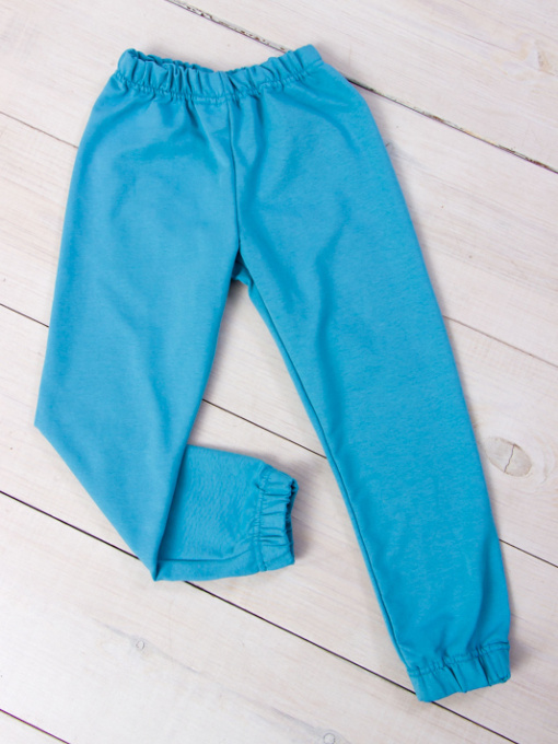 Джоггеры Носи своє модель 6155-057-4-goluba-blakitx Фото