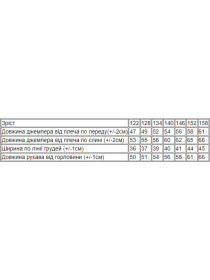 Худи Носи своє модель 6161-057-33-5-m-qta Фото