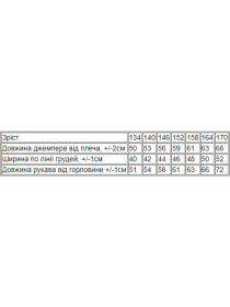 Худи Носи своє модель 6226-025-33-dzhins Фото