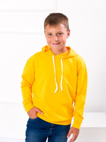 Худи Носи своє модель 6226-057-1-burshtin Фото