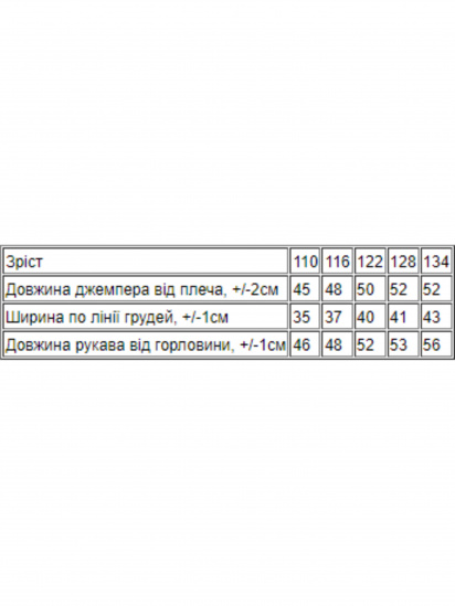 Худі Носи своє модель 6226-057-4-blakitnij — фото 3 - INTERTOP