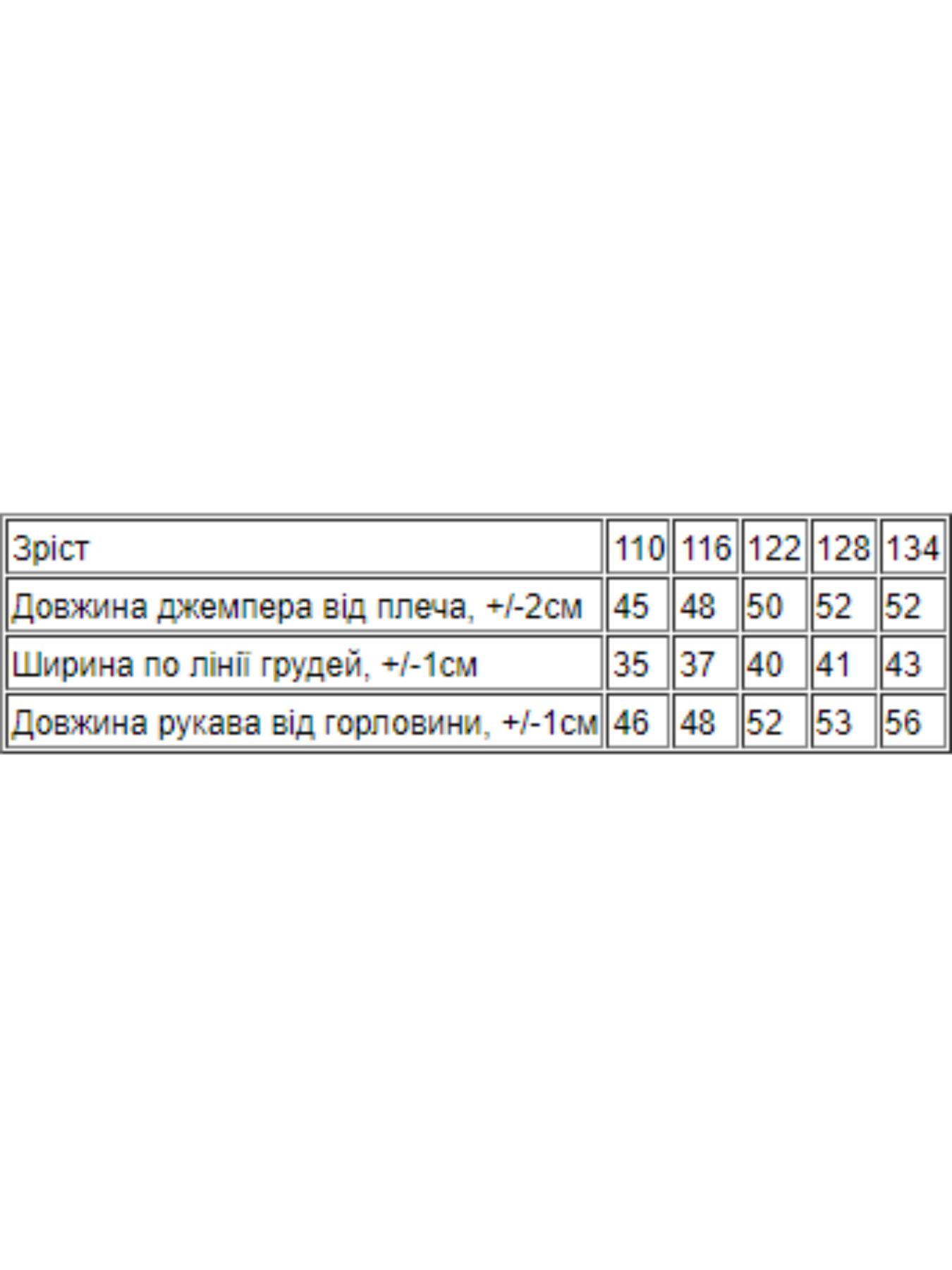 Худи Носи своє модель 6226-057-4-elektrik Фото