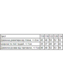 Худі Носи своє модель 6226-057-4-elektrik Фото