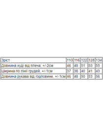 Худи Носи своє модель 6226-057-5-rozhevij Худи Носи своє модель 6226-057-5-rozhevij Фото