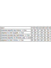 Спортивный костюм Носи своє модель 6228-057-33-4-nefrit-chornij Фото
