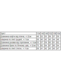 Спортивний костюм Носи своє модель 6241-057-foletovij Фото