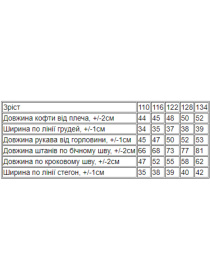 Спортивный костюм Носи своє модель 6309-025-33-4-chornij Фото
