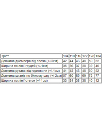 Спортивный костюм Носи своє модель 6314-sngovichki Фото