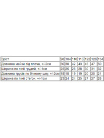 Комплект белья Носи своє модель 6323-008-33-bryuza-vedmedik Фото