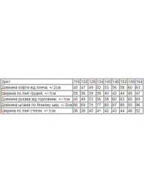 Повседневный костюм Носи своє модель 6343-025-chornij Фото