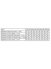 Повседневный костюм Носи своє модель 6343-025-chornilxno-sinj Фото