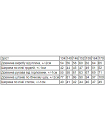 Спортивний костюм Носи своє модель 6346-057-butilochnij Фото