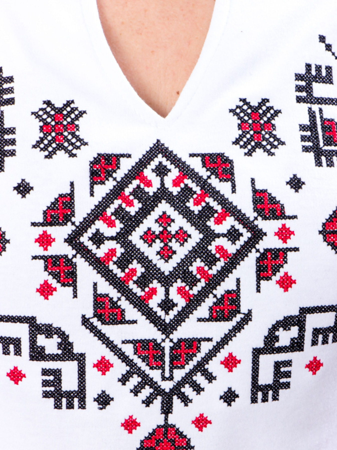 Вишита сорочка Носи своє модель 8029-038-22-1-chervonij-chornij Фото