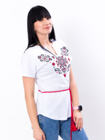 Вишита сорочка Носи своє модель 8029-038-22-1-chervonij-chornij Фото