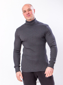 Водолазка Носи своє модель 8095-019-1-antracit Фото