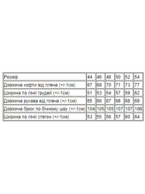 Спортивный костюм Носи своє модель 8179-099-chornilxno-sinj Фото