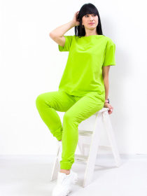 Спортивный комплект Носи своє модель 8281-057-1-citrus Фото