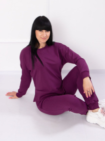 Спортивний костюм Носи своє модель 8285-057-baklazhan Фото