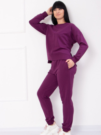 Спортивный костюм Носи своє модель 8285-057-baklazhan Фото