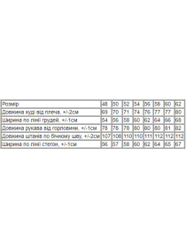 Повсякденний костюм Носи своє модель 8311-025-chornilxno-sinj Фото