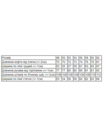 Спортивний костюм Носи своє модель 8331-057-temnij-graft Фото