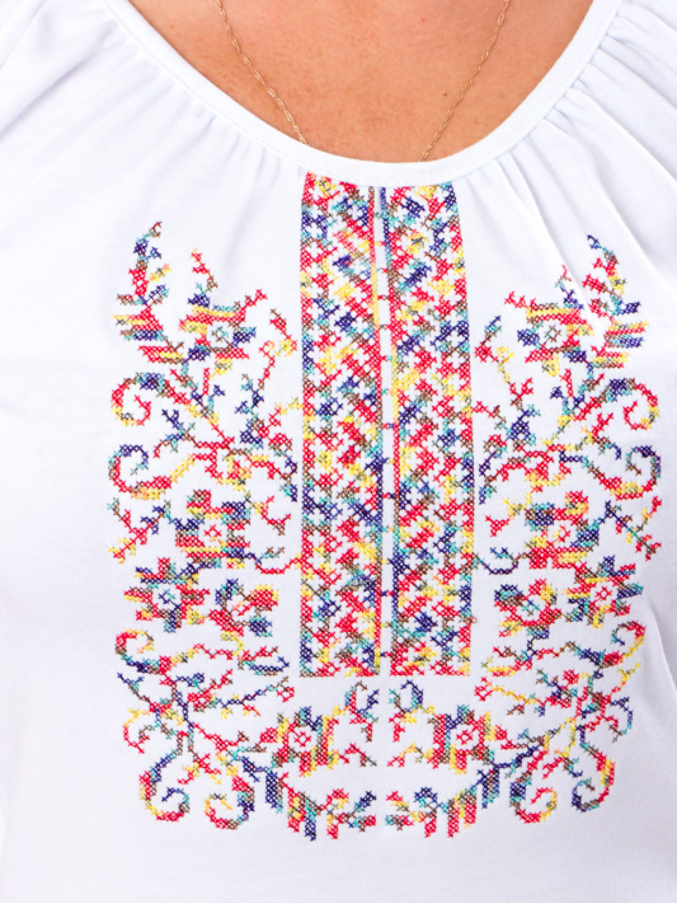 Вишита сорочка Носи своє модель 8604-038-22-1-rznokolxorovij Фото