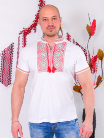 Вышитая рубашка Носи своє модель 8606-038-22-chervonij Фото