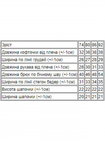 Комплект для немовлят Носи своє модель 5064-4-tigr Фото