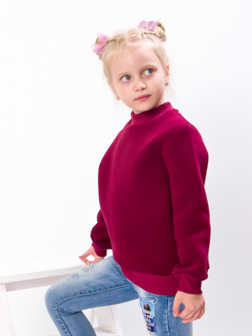 Джемпер Носи своє модель 6069-025-bordovij Фото