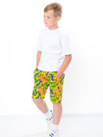 Шорты Носи своє модель 6208-055-dno-burshtin Фото