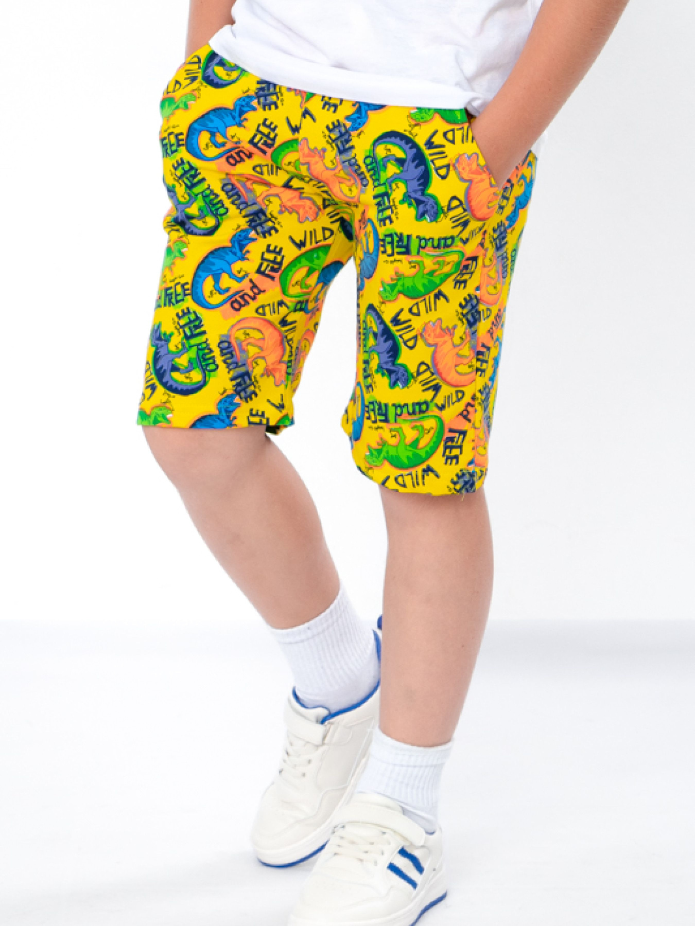 Повсякденні шорти Носи своє модель 6208-055-dno-burshtin Фото