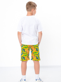 Повсякденні шорти Носи своє модель 6208-055-dno-burshtin Фото