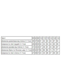 Спортивный костюм Носи своє модель 6273-057-1-persikovij-melanzh Фото