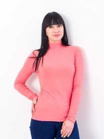 Водолазка Носи своє модель 8047-103-grejpfrut Водолазка Носи своє модель 8047-103-grejpfrut Фото