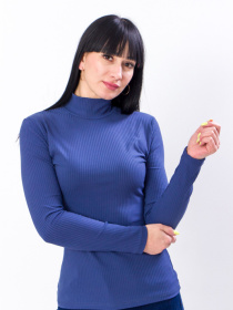 Водолазка Носи своє модель 8047-103-sinj Фото