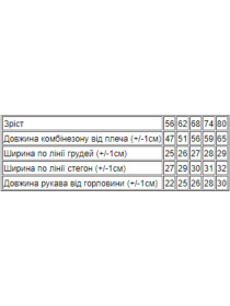 Песочник Носи своє модель 9872-002-4-mashinka-blak Фото