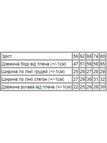 Нательный комбинезон Носи своє модель 5058-001-blakitnij Фото