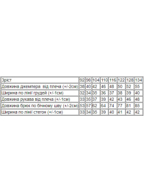 Спортивный костюм Носи своє модель 6018-057-33-5-chornilxno-sinj Фото