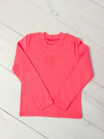 Лонгслив Носи своє модель 6025-015-5-koral Фото